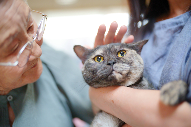 猫と一緒に暮らす高齢者の方へ、 安心できる見守りサービスをご提案！