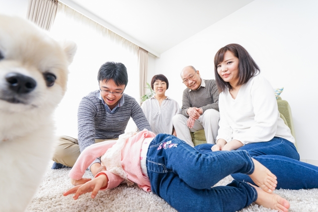2. 家族とのつながりを強化