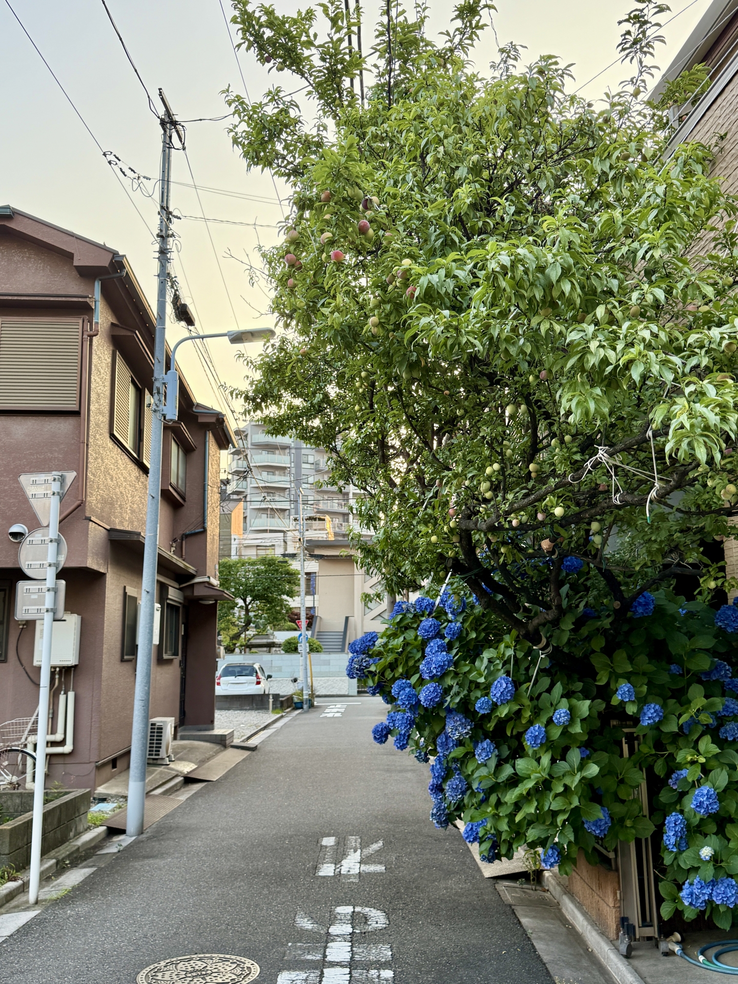 福岡県の皆様にお届けする新しい見守りの形